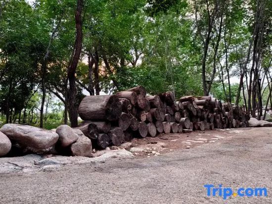 Helan Mountain Yanhua Gucun Jiugu Xiaoshe Homestay - Image 1