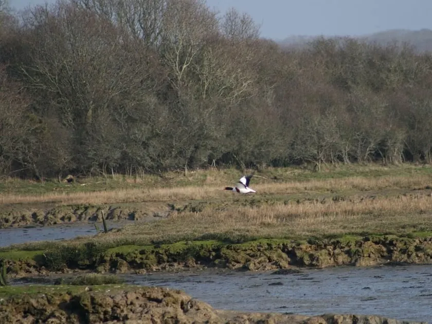 Little Idyll - Image 1