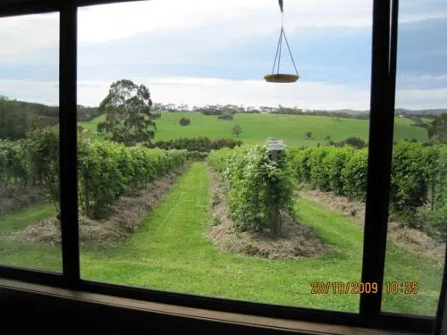 Pennyroyal Raspberry Farm & Cidery - Image 1