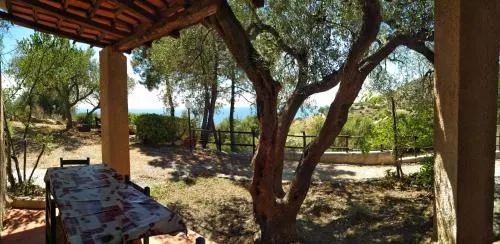 Caleo Alto Acciaroli - Image 1