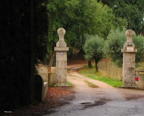 Quinta Do Cerquito - Image 1