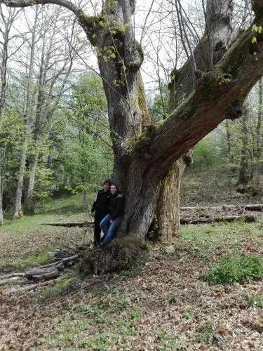 Fattoria La Germana - Image 1