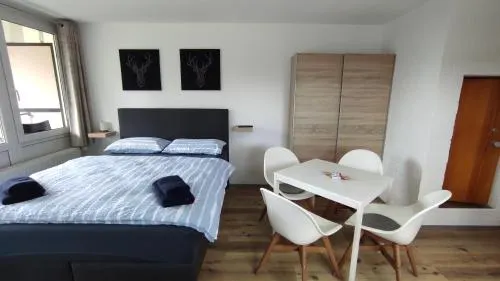 Ferienwohnung mit Blick in den Bayrischen Wald oberhalb von Sankt Engelmar - Image 1