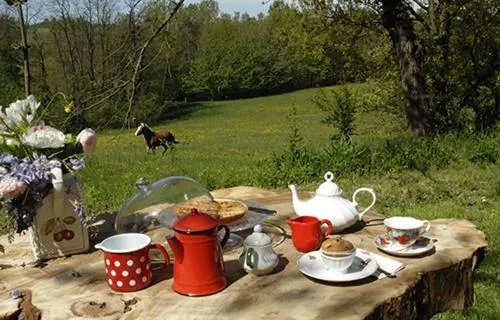 Bed and Breakfast Cascina Cin Cin - Image 1