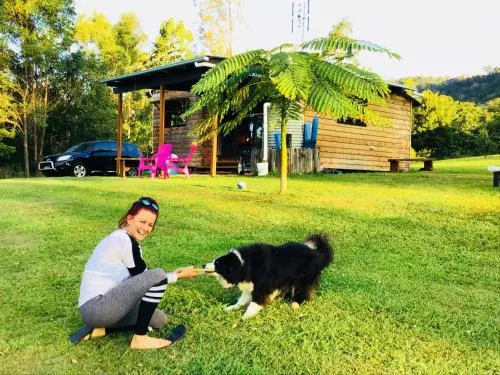 TIMBER GYM Pet Friendly Cabin - Image 1