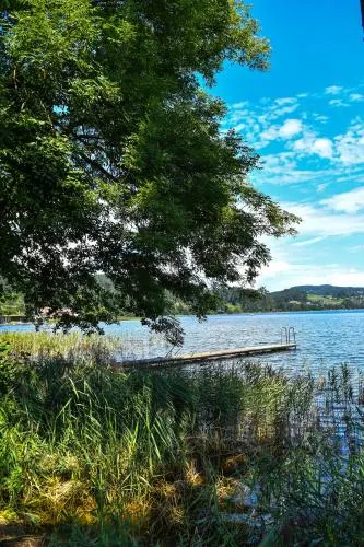 Ferienwohnungen am See Haus Spitzer - Image 1