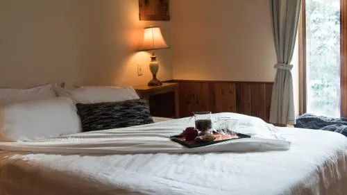Chalets Chanteclair - Image 1
