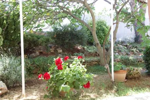 Holiday Home Pineta - Image 1