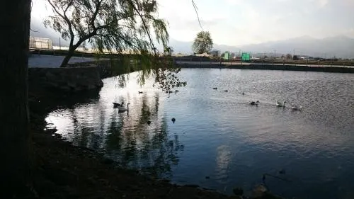 Aqui Te Quiero Ver - Image 1