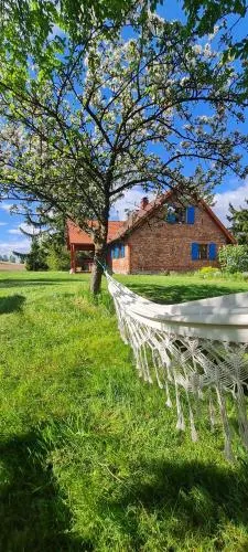 Wyspa Swierków - Image 1