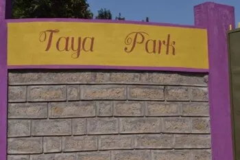 Taya Park - Image 1