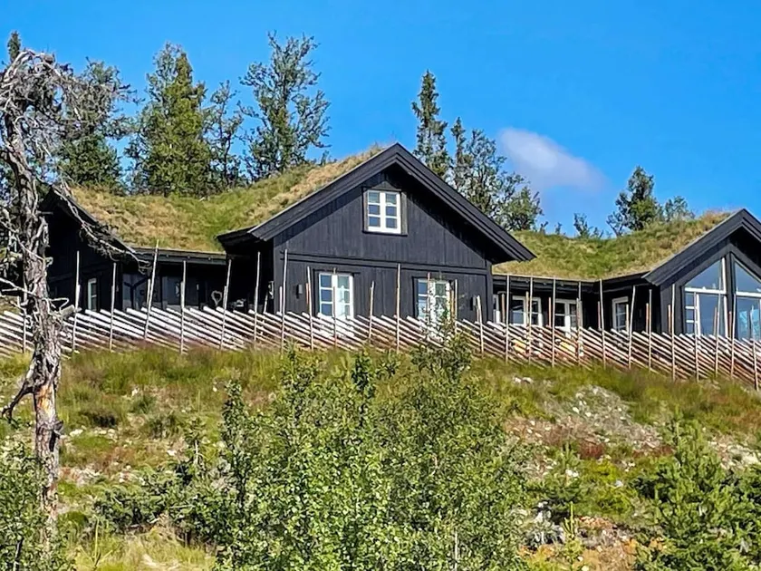 Holiday Home Nesbyen Iii - Image 1
