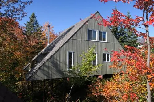 Chalet familial du Plateau - Image 1