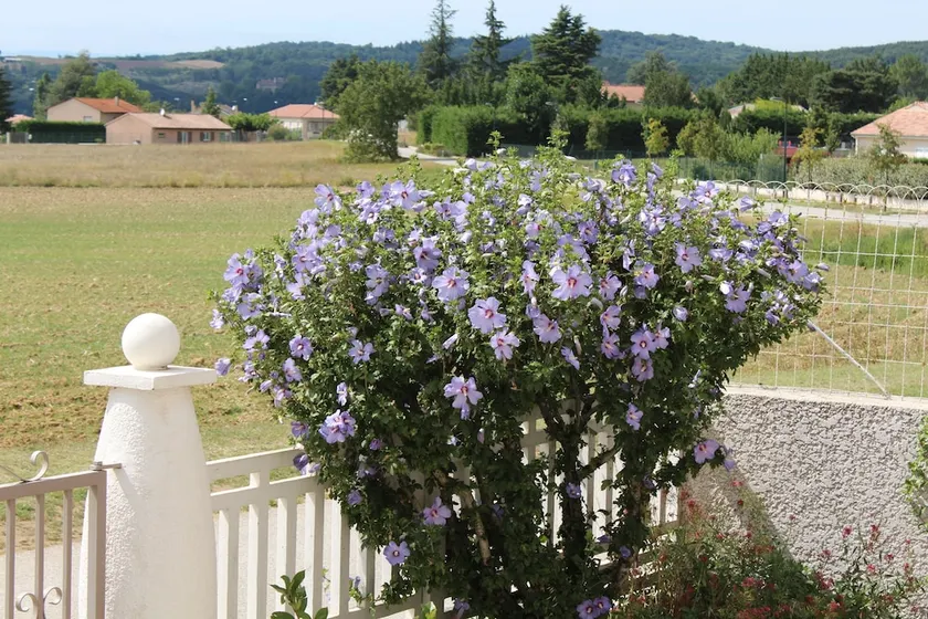 La Maison Josephine - Image 1