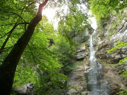 Hotel Restaurant Berghof - Image 1