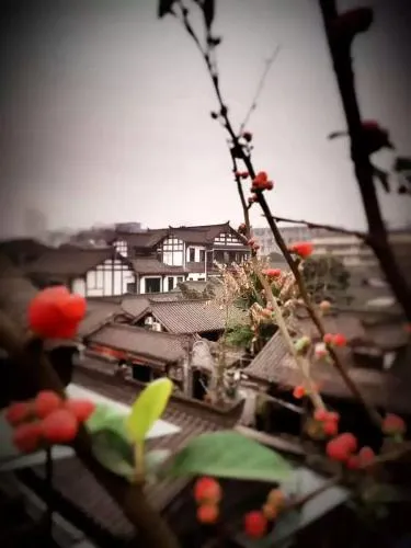 Wang Hong Ding Zhi Zhai Ju Homestay - Image 1