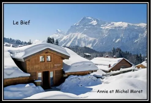 Demi-Chalet Le Bief --Prox pistes - Image 1