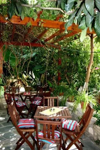 The Bunch Of Grapes Inn - Image 1