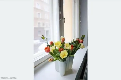 Corner apartment - Image 1
