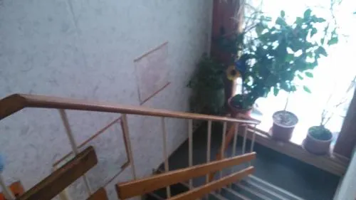 Iivi Oja Home Accommodation - Image 1
