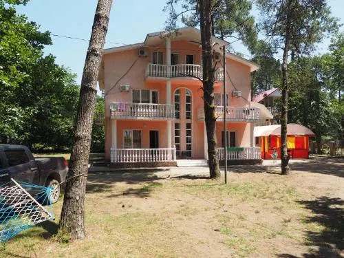 Alfa Shekvetili - Image 1