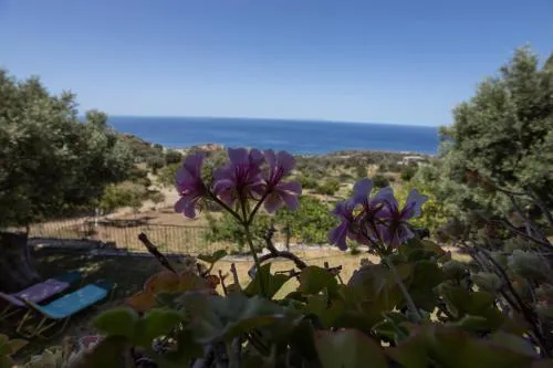 Manolis' House - Image 1
