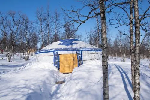 Aurora Dome - Image 1