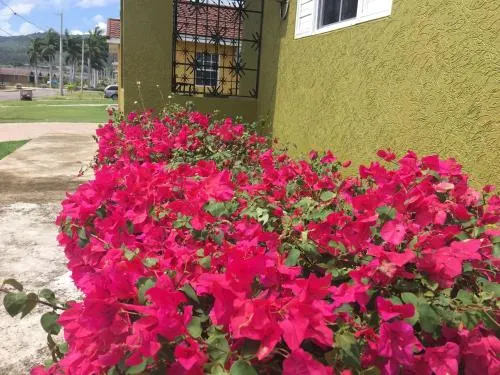 Drax Hall Country Club's Sweet Escape - Image 1