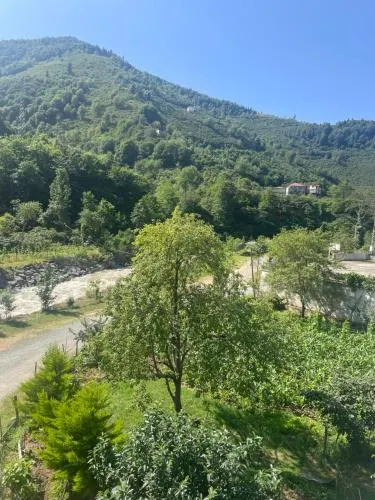 Yeşil ve huzur dolu bir daire - Image 1
