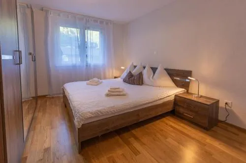 Chalet Gousweid Harder Apartment - Image 1