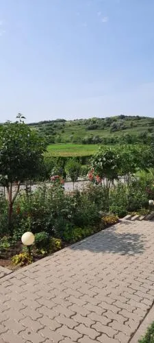 Pensiunea Elena Si Maria - Image 1