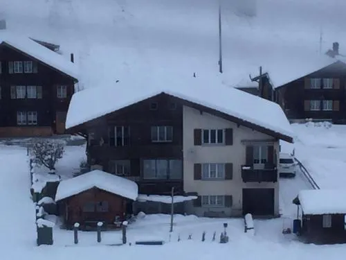 Chalet Wildbach - Image 1