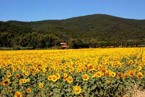 Agriturismo Valborgina - Image 1