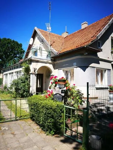 Pas Emilija - Image 1