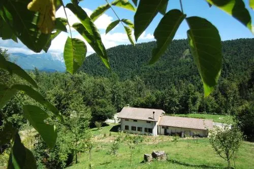 Bosco Delle Rune ..Un Angolo Di Paradiso - Image 1