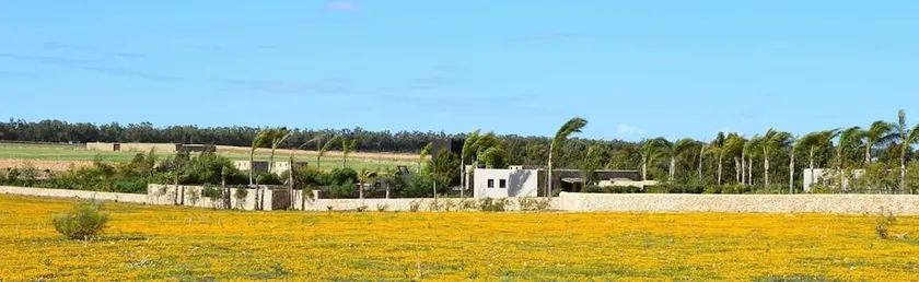 Koheilan Oriental Lodge Farm - Image 1