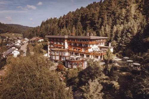 Wellnesshotel Sonnenhalde Tonbach - Image 1
