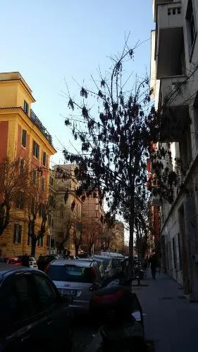 Acchiappasogni Guest House - Image 1