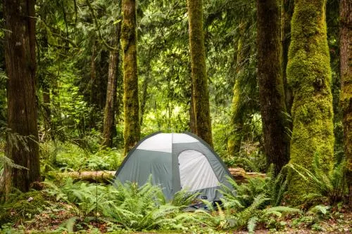 Mount Hood Village Deluxe Cabin 7 - Image 1