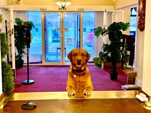 The Lochalsh Hotel - Isle of Skye - Image 1