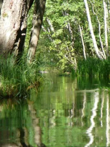 Natur Sport - Image 1
