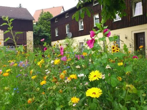 Modern Apartment In Weissig Saxony With Garden - Image 1