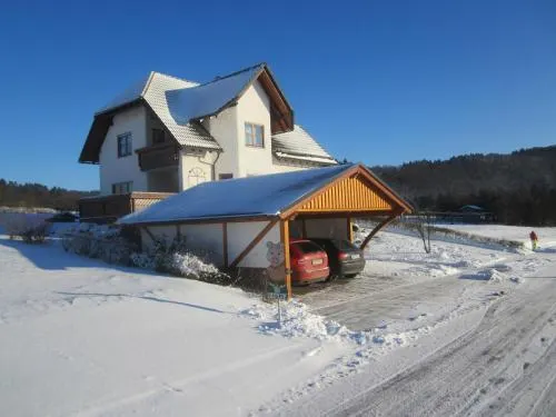 Apartment Near the ski Area - Image 1