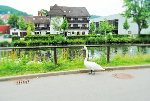Hotel Schiff - Image 1