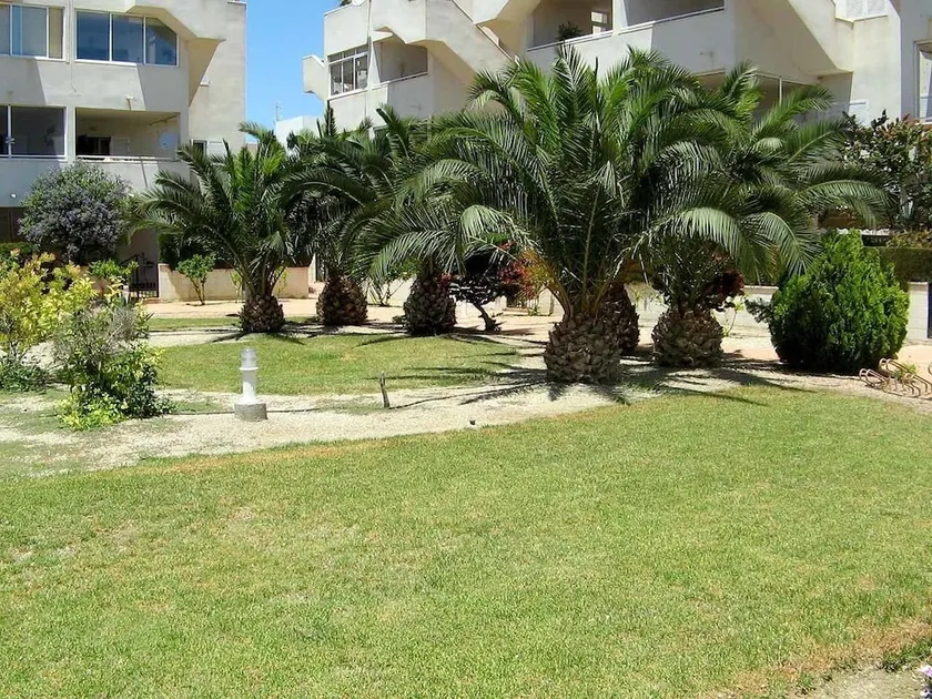 Apartamento Mimosas - Image 1