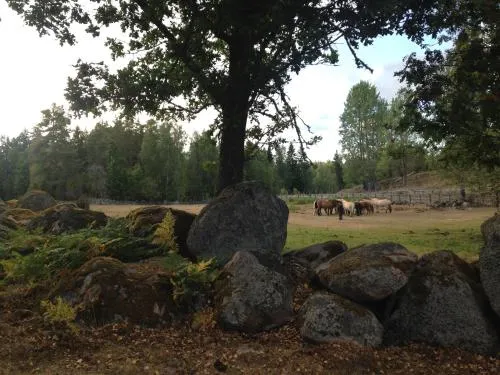 Aspviken - Image 1
