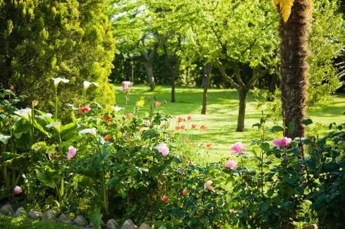 B&B Cristina - Image 1