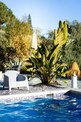 Campo Agave Luxury Tents - Image 1