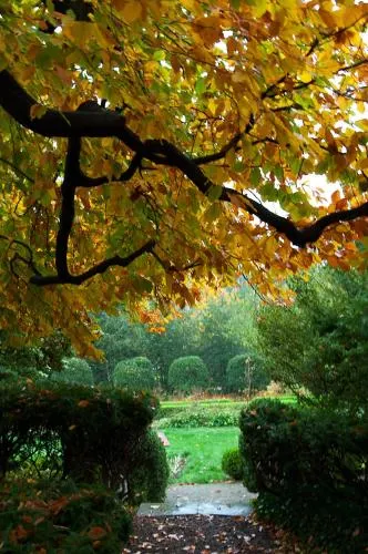The Ellwanger Estate - Image 1