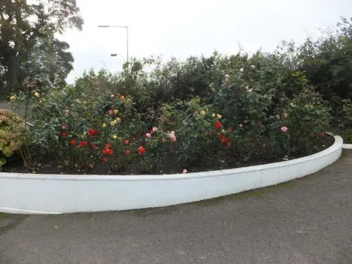 Hillcourt B&B - Image 1